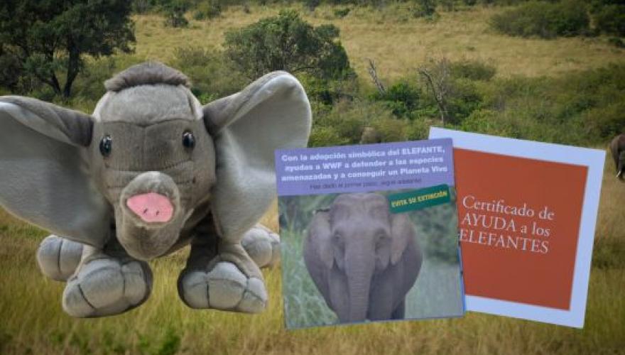 Adopción simbólica elefante