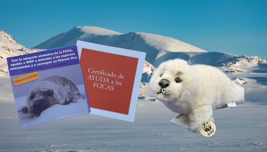 Adopta foca artica
