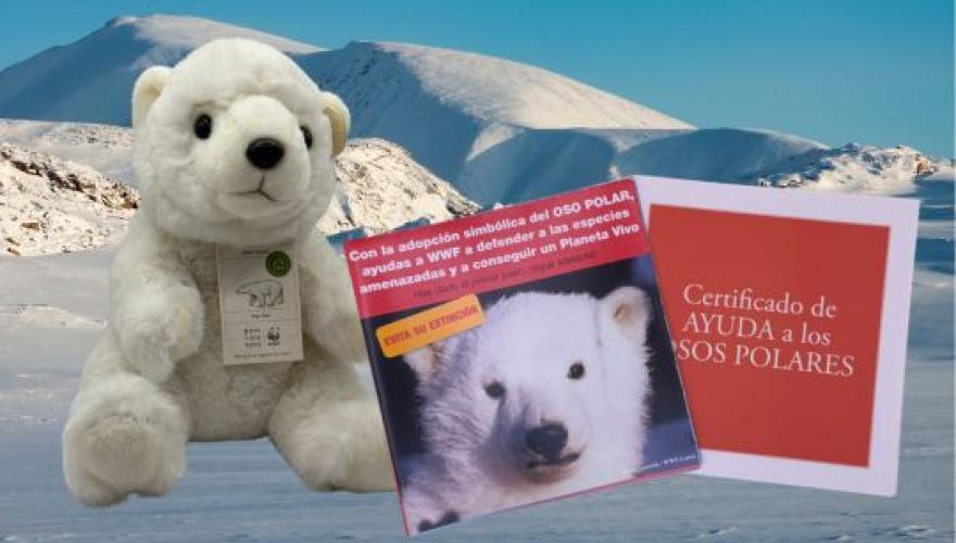 Adopción simbolica del oso polar