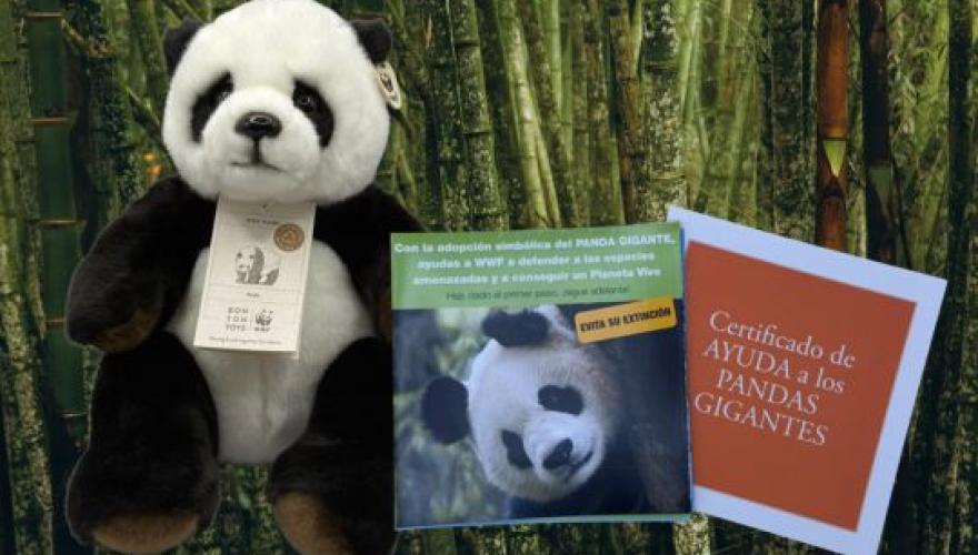 Adopta panda gigante