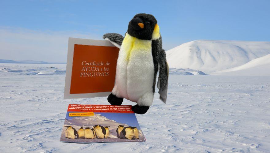 bodegon adopta pinguino