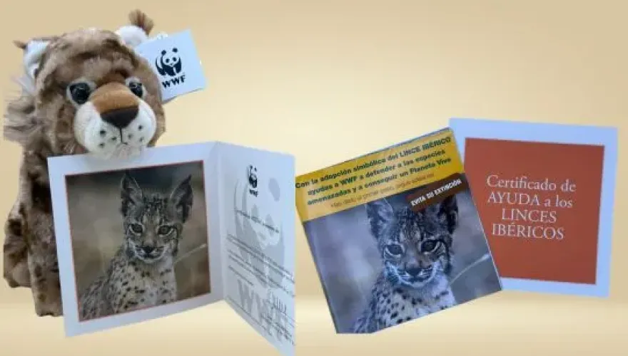 Pack adopta lince ibérico