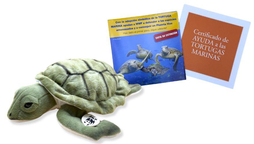tortuga certificado y folletos