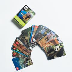 cartas wwf
