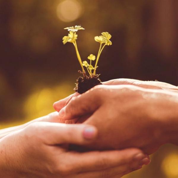 Detalles para eventos solidarios como bodas