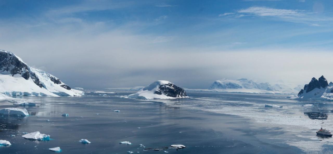 Ecosistema Polar