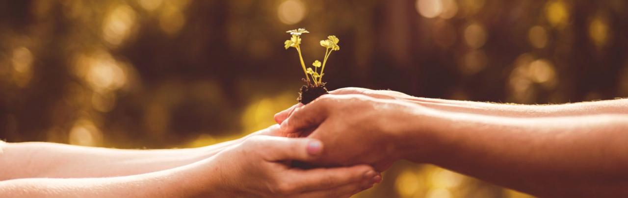 Detalles para eventos solidarios como bodas