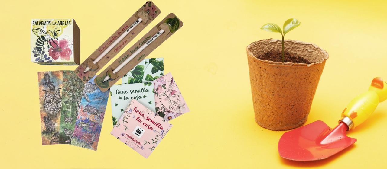 Regalos plantables