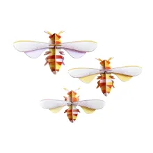 set de decoración abejas 