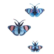 Mariposas pavo real decoracion 3D