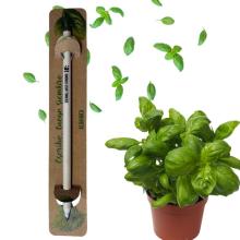 Lápiz plantable albahaca