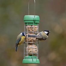 Aves alimentándose en el comedero de bolas de sebo