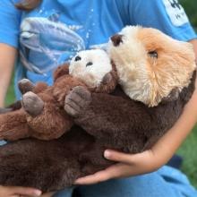 peluche nutria marina