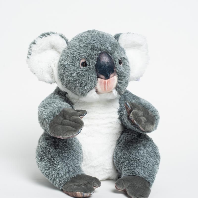 peluche artie koala