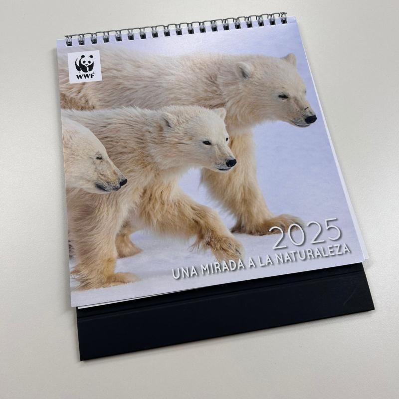 calendario wwf