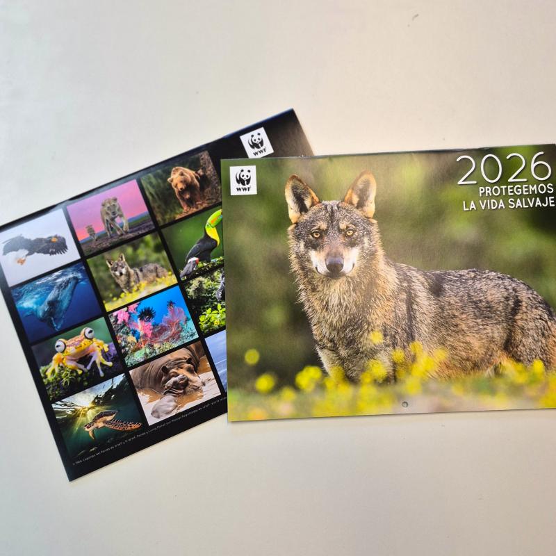 calendario pequeño wwf