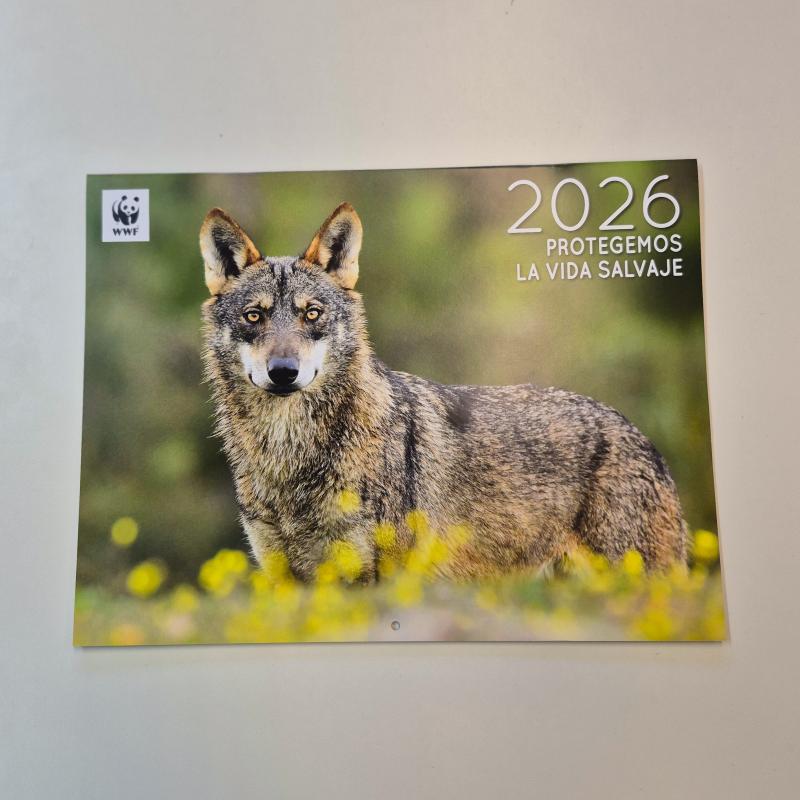 calendario wwf grande
