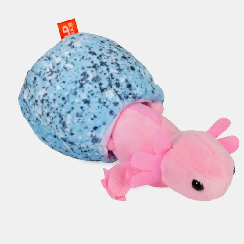 Pequeño ajolote en su huevo