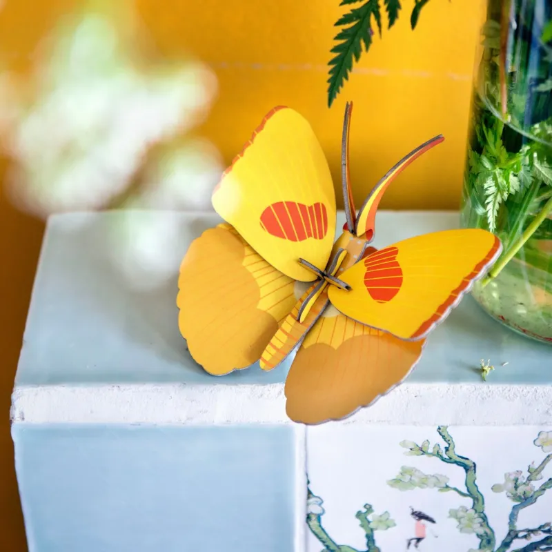 detalle mariposa amarilla