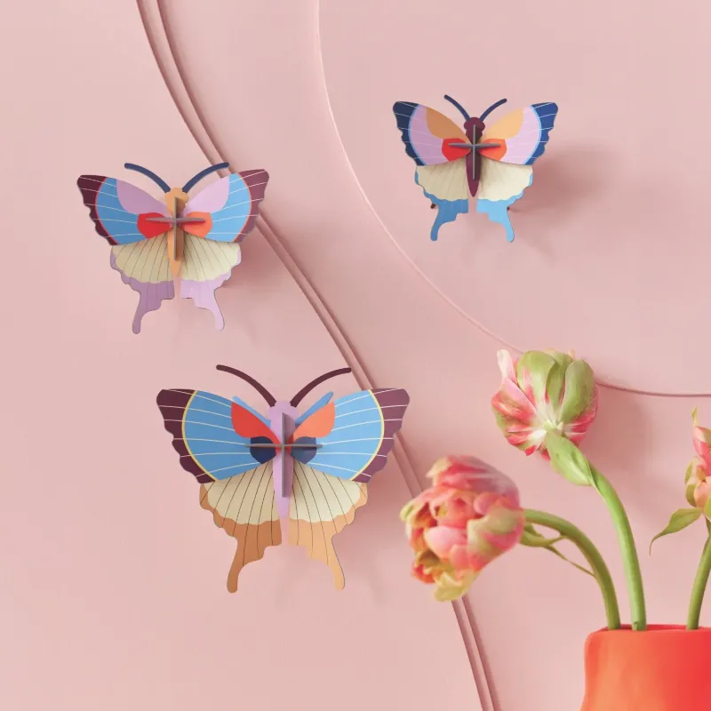 Conjunto de mariposas plum fringe en pared