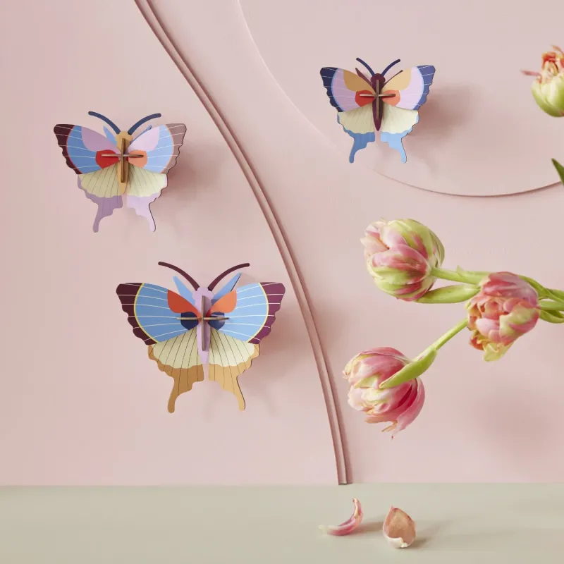 Conjunto de mariposas plum fringe en pared