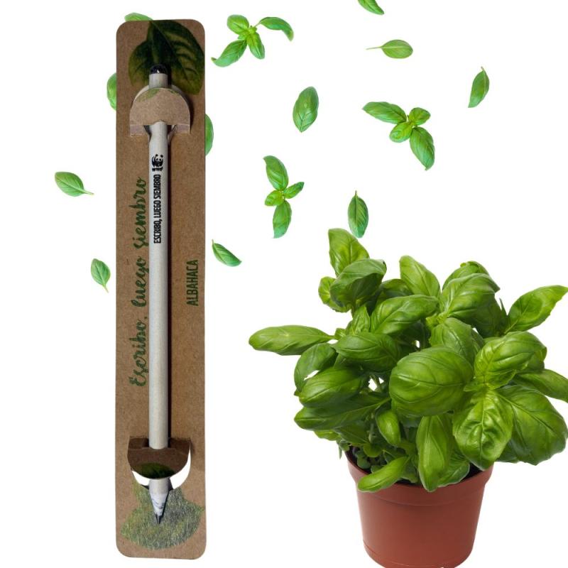 Lápiz plantable albahaca
