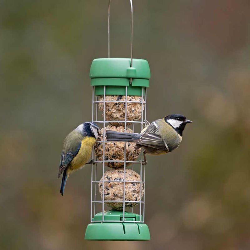 Aves alimentándose en el comedero de bolas de sebo